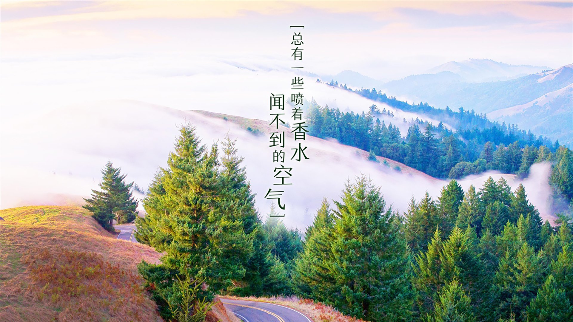 爱游戏在线登录-_减震科技飞行器:空中飞翔的新体验_,飞控减震的目的