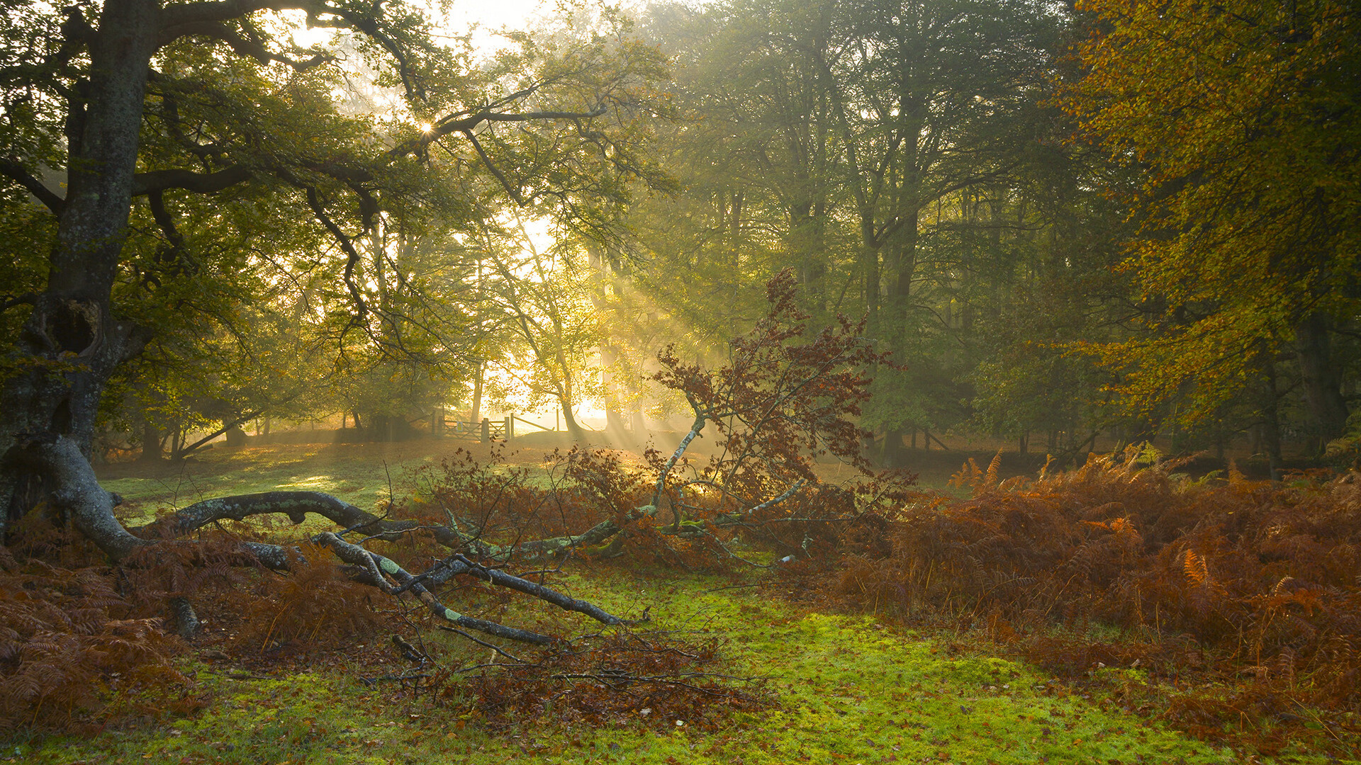 爱游戏官网首页-伤病潮影响意甲:多位主力缺阵,意甲预测